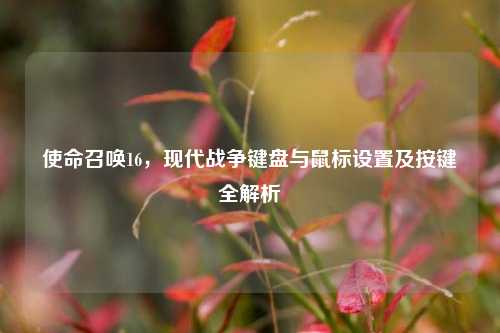 使命召唤16，现代战争键盘与鼠标设置及按键全解析