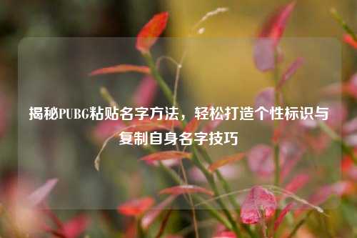 揭秘PUBG粘贴名字方法,轻松打造个性标识与复制自身名字技巧