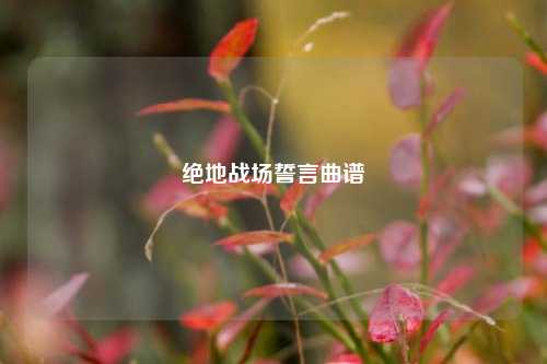 绝地战场誓言曲谱