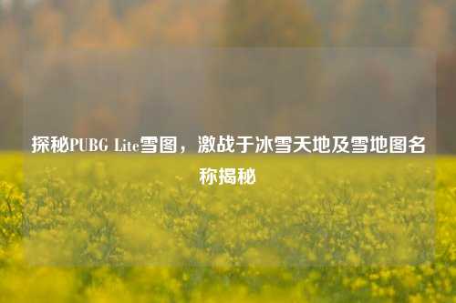 探秘PUBG Lite雪图，激战于冰雪天地及雪地图名称揭秘