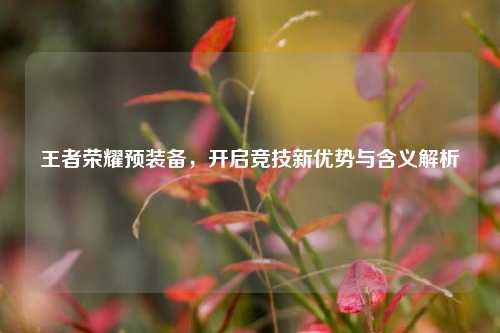 王者荣耀预装备，开启竞技新优势与含义解析
