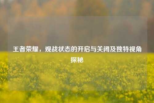 王者荣耀,观战状态的开启与关闭及独特视角探秘