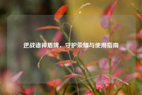 逆战诸神盾牌，守护荣耀与使用指南