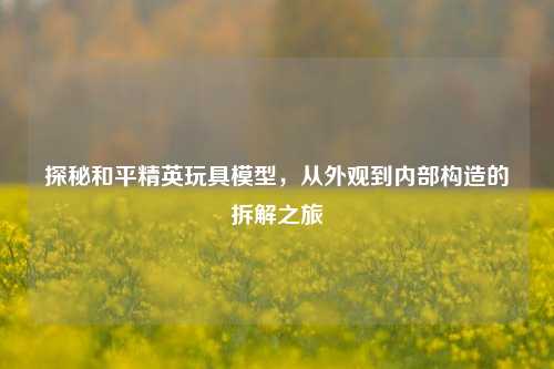 探秘和平精英玩具模型,从外观到内部构造的拆解之旅