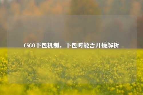 CSGO下包机制,下包时能否开镜解析