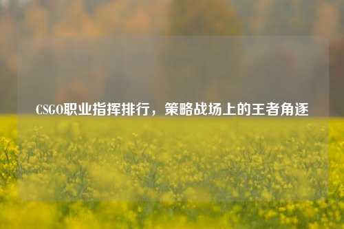 CSGO职业指挥排行,策略战场上的王者角逐