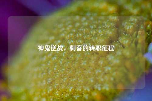 神鬼逆战,刺客的转职征程