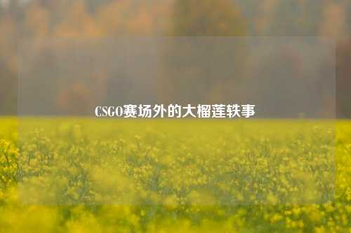 CSGO赛场外的大榴莲轶事