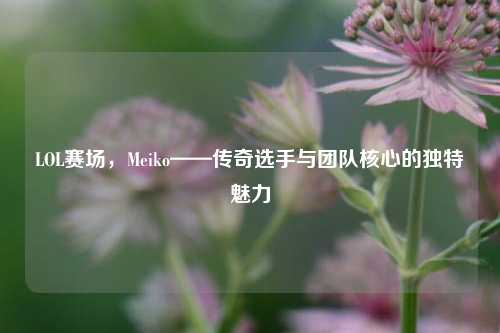 LOL赛场,Meiko——传奇选手与团队核心的独特魅力
