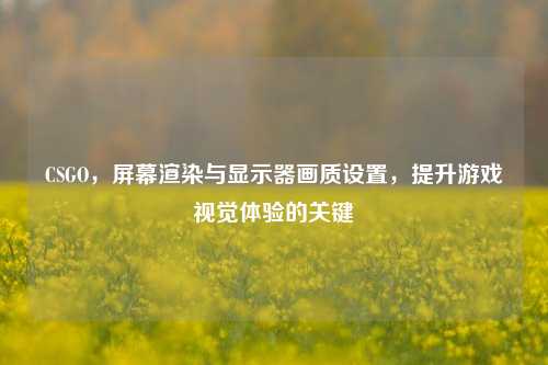CSGO,屏幕渲染与显示器画质设置,提升游戏视觉体验的关键