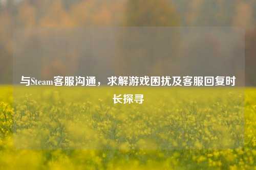 与Steam客服沟通,求解游戏困扰及客服回复时长探寻