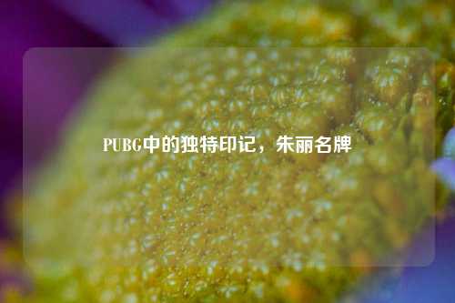 PUBG中的独特印记,朱丽名牌