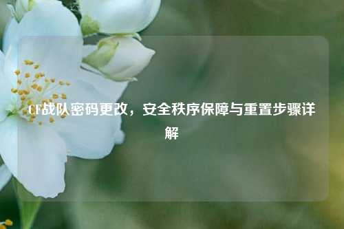 CF战队密码更改,安全秩序保障与重置步骤详解