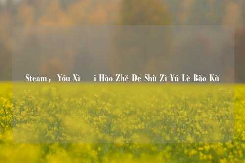 Steam,Yóu Xì Ài Hào Zhě De Shù Zì Yú Lè Bǎo Kù