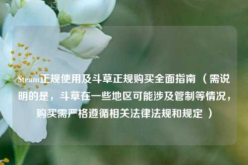 Steam正规使用及斗草正规购买全面指南 (需说明的是,斗草在一些地区可能涉及管制等情况,购买需严格遵循相关法律法规和规定 )