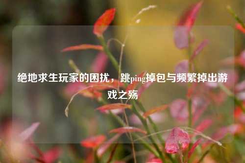 绝地求生玩家的困扰,跳ping掉包与频繁掉出游戏之殇