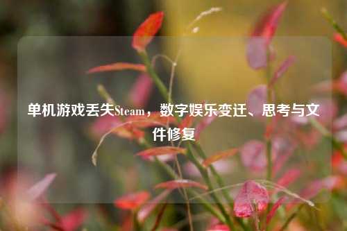 单机游戏丢失Steam,数字娱乐变迁、思考与文件修复