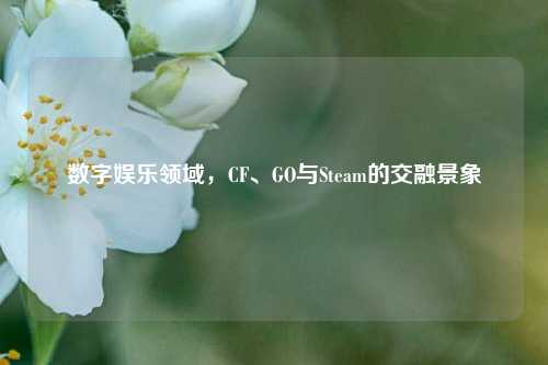 数字娱乐领域,CF、GO与Steam的交融景象