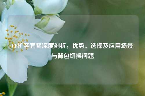 CF扩容套餐深度剖析,优势、选择及应用场景与背包切换问题