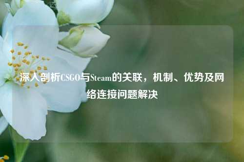 深入剖析CSGO与Steam的关联，机制、优势及网络连接问题解决