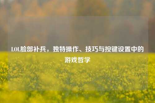 LOL脸部补兵，独特操作、技巧与按键设置中的游戏哲学
