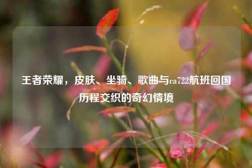 王者荣耀，皮肤、坐骑、歌曲与ca722航班回国历程交织的奇幻情境