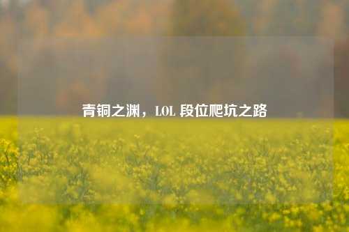 青铜之渊,LOL 段位爬坑之路