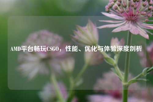 AMD平台畅玩CSGO,性能、优化与体验深度剖析