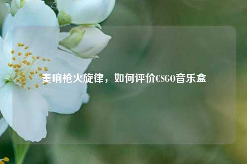 奏响枪火旋律,如何评价CSGO音乐盒