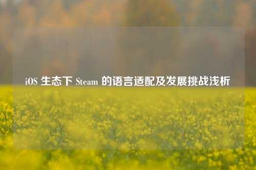 iOS 生态下 Steam 的语言适配及发展挑战浅析