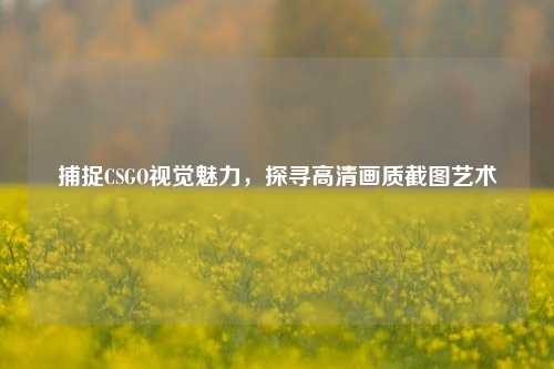 捕捉CSGO视觉魅力,探寻高清画质截图艺术