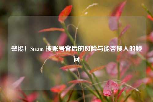 警惕！Steam 搜账号背后的风险与能否搜人的疑问