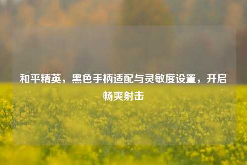 和平精英，黑色手柄适配与灵敏度设置，开启畅爽射击