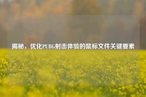 揭秘,优化PUBG射击体验的鼠标文件关键要素