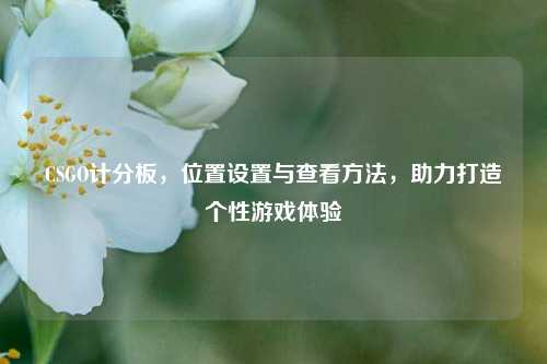 CSGO计分板,位置设置与查看方法,助力打造个性游戏体验