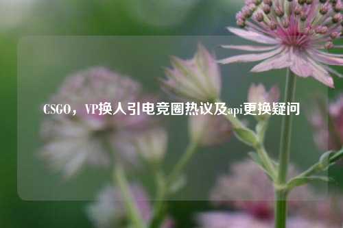 CSGO，VP换人引电竞圈热议及api更换疑问