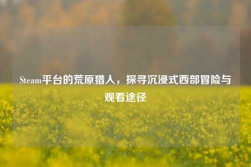 Steam平台的荒原猎人,探寻沉浸式西部冒险与观看途径