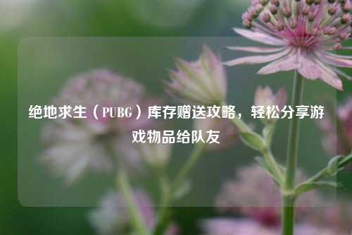 绝地求生(PUBG)库存赠送攻略,轻松分享游戏物品给队友