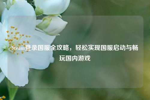 Steam登录国服全攻略，轻松实现国服启动与畅玩国内游戏