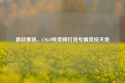 激战赛场,CSGO电竞椅打造专属竞技天地