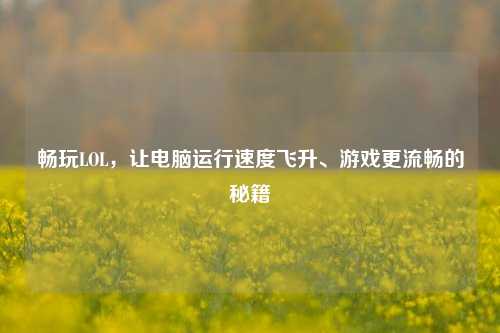 畅玩LOL,让电脑运行速度飞升、游戏更流畅的秘籍