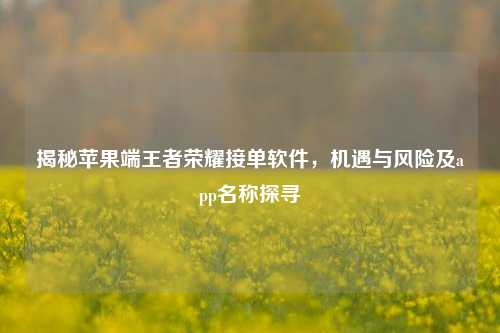 揭秘苹果端王者荣耀接单软件,机遇与风险及app名称探寻