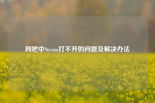 网吧中Steam打不开的问题及解决办法