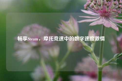 畅享Steam，摩托竞速中的数字速度激情
