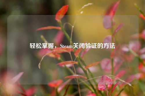 轻松掌握,Steam关闭验证的方法