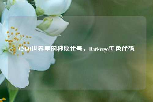 CSGO世界里的神秘代号,Darkcsgo黑色代码