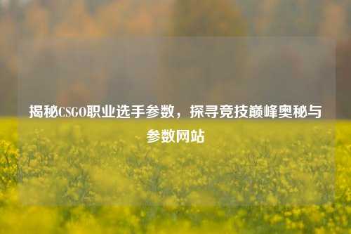 揭秘CSGO职业选手参数,探寻竞技巅峰奥秘与参数网站