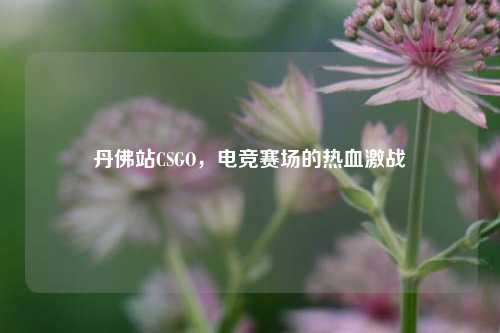 丹佛站CSGO，电竞赛场的热血激战