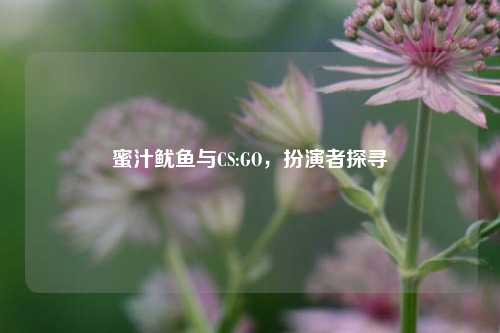 蜜汁鱿鱼与CS:GO，扮演者探寻
