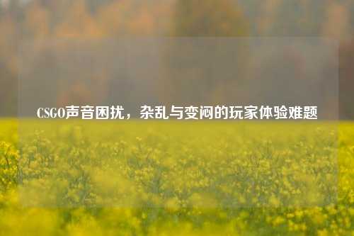 CSGO声音困扰,杂乱与变闷的玩家体验难题